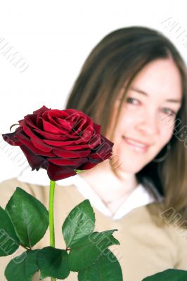 lady and rose - focus on rose