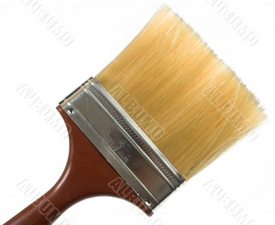 artists brush