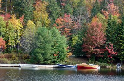 Autumn Boats