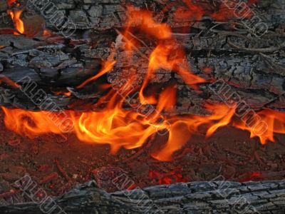 campfire flame