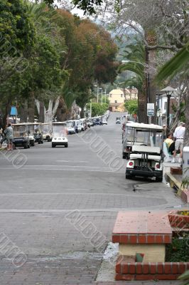 Catalina Street 2