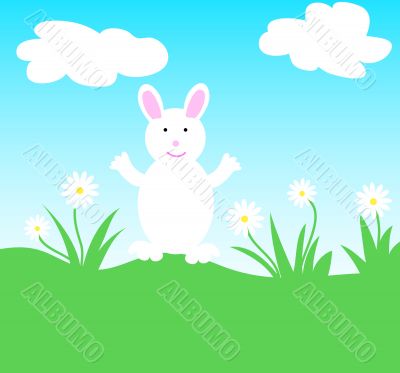 Bunny and daisies