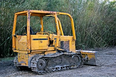 Bulldozer and Bamboo