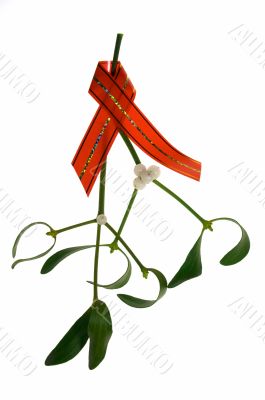 close-up of a bunch of mistletoe