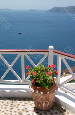 flowerpot on balcony