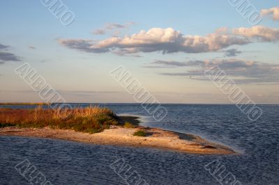 Island in the sea
