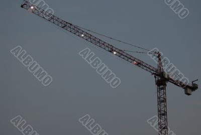 Crane at Dawn