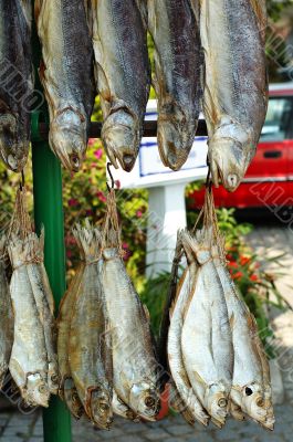 The dried fishes