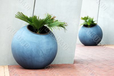 Large plant pots