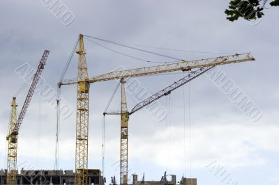 Three cranes