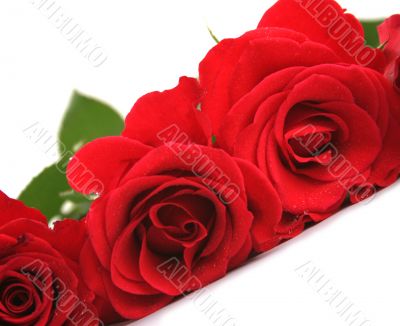 Red roses