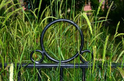 fence