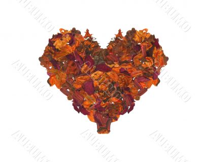 Lobes heart