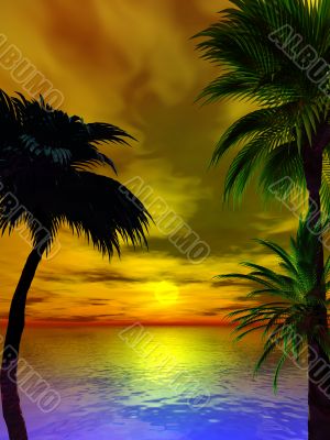 sunset