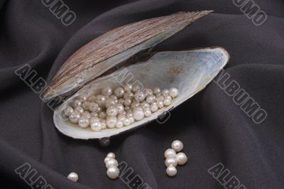 Pearls