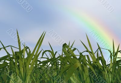 Rainbow