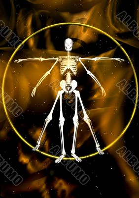 Leonardo skeleton