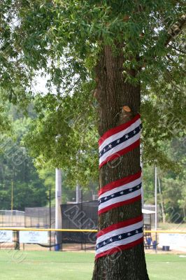 Patriotic Tree