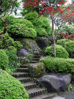 Japanese Garden