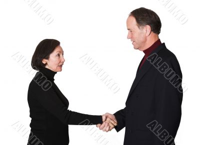 business couple shaking hands 2