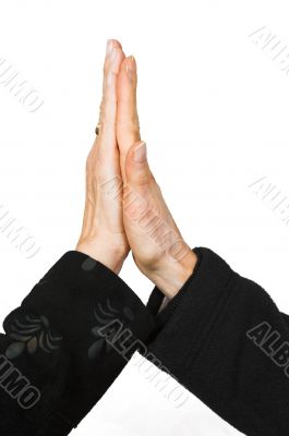 business handshake - female hands