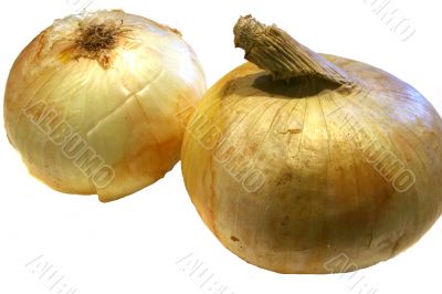 Yellow Onions