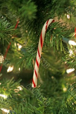 Candy Cane