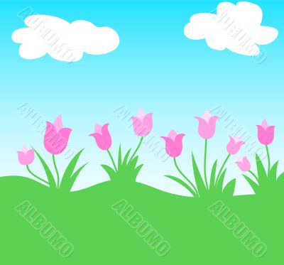 Spring flowers