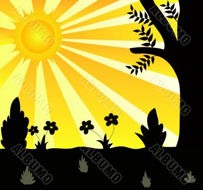 Nature design