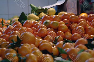 fruits