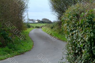 a tiny road