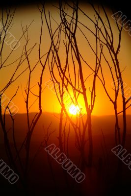 sunset