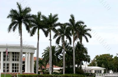 Five Palms and a Mansion
