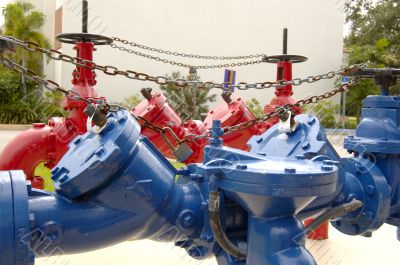 Blue and Red Check Valve