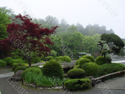 Japanese Garden