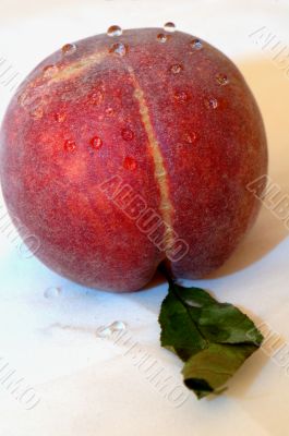 Peach isolated in white background