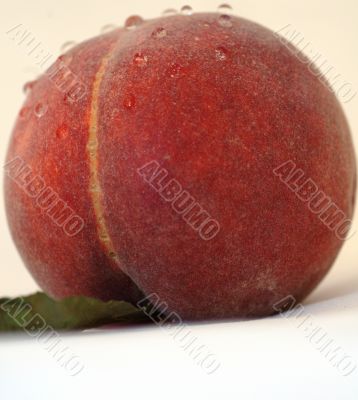 Peach