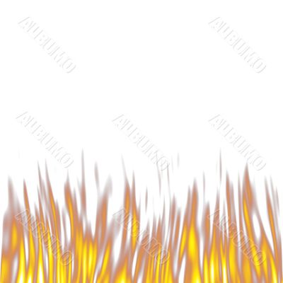 Fire isolated in white