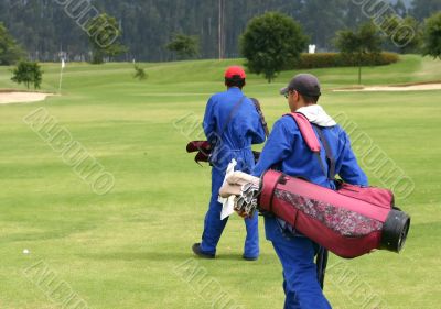 caddies