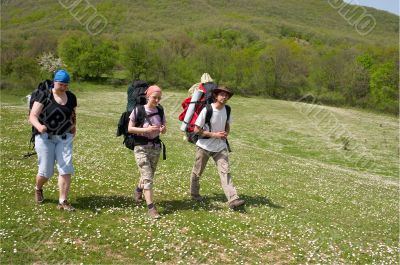 Group of tourist