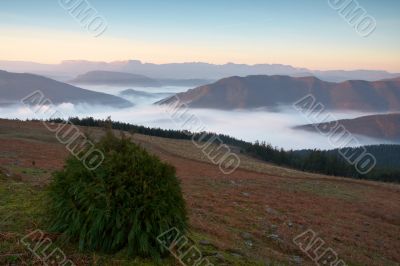 Sunrise over the fog