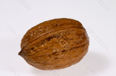 Wet walnut