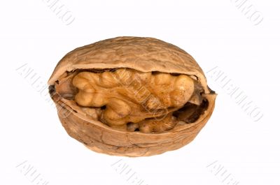 Cracked nut
