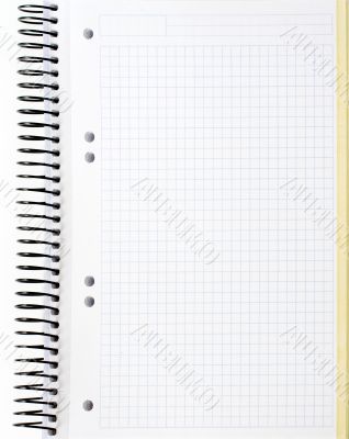 blank notebook sheet