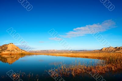 Reflection in the lake
