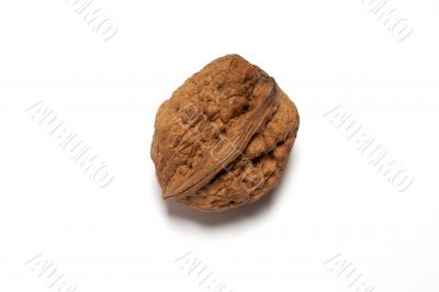 nut rind dry fruit