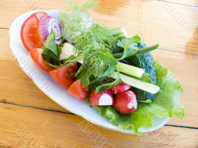 Appetizing vegetable salad