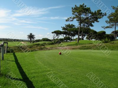 Golf landscape