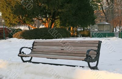 Bench in Snow