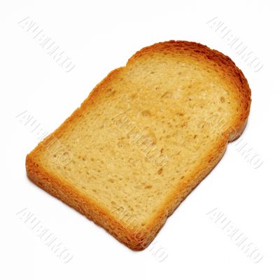 Slice of toasted bread